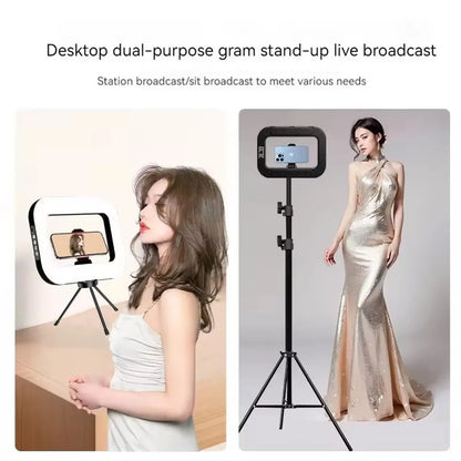Rechargeable Handheld LED Ring Fill Light